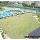 이레수지 이미지