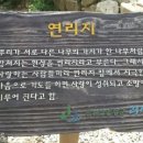 강미경