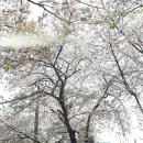 금강산면옥 이미지