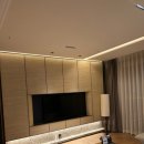 소노펠리체 델피노 이미지