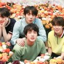 아미모아