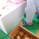 소화영아재활원 | 부산 소화영아재활원 봉사후기