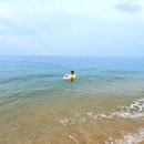 순긋바다펜션 이미지