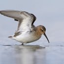 소리나라 이미지