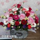 김해꽃식물원 이미지