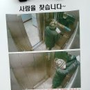 드림전단