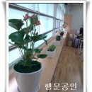 잠일병설유치원 | 엘스,신천초등학교,신천중학교,잠일고등학교