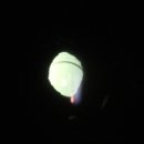 이룸동물병원 이미지