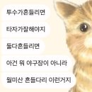 나00 네이버블로그