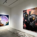 샐리(sally) 이미지