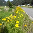 개곡2리 이미지