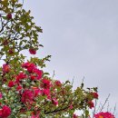 류비뇨의학과의원 이미지