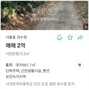 서귀포여자중학교 | [임장 후기] 서귀포시 서홍동 (+ 솜반천 인근 과수원, 2억, 대지 199평)