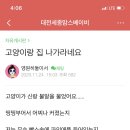 백조만물
