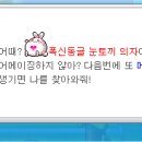 레드메이플 이미지