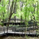 수락산 순환산책로 이미지