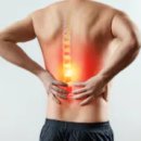 강남바른추의원 이미지