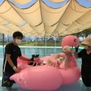 도그플러스주 - 김해시 번화1로56번길 15 | 도그플러스주