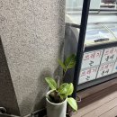 세븐일레븐 숭의동성당점 이미지