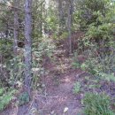 김선배농장 이미지