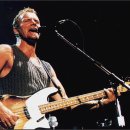 Shape of my heart - Sting 이미지