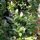 대경농자재 이미지