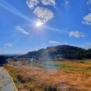 요망진밥상 | 송악산밥집 요망진밥상 에서 밥한끼 뚝딱!!