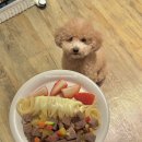 너랑 온 이미지