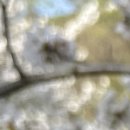 연세위너스재활의학과의원 이미지