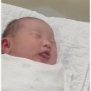 제일여성병원 | 분당제일여성병원 제왕절개 출산 후기 첫날 통증