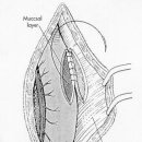 날으는 동물병원 이미지