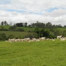 우들농장 이미지