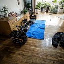 삼정카토탈서비스 | 아파트 천장에서 뚝뚝 이거 완전 재난 영화 아니냐고?