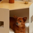 코모네 펫하우스 이미지