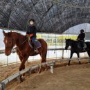 퀸즈승마장 이미지