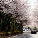 북한강변길 이미지