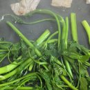 온새미로 | 미나리먹는법 고민 끝 세척미나리 나주미나리 온새미로 후기