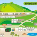 통영 편백숲길 관광농원 이미지