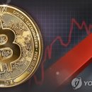 농산물전자거래 이미지