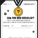 다올메디칼