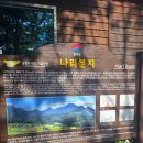 나리 | 울릉도 여행 울릉도 가볼만한 곳 울릉도 여행 코스 나리분지 나리촌식당 후기