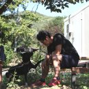 엽돈재가든 이미지