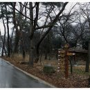 오랜미래신화미술관 이미지