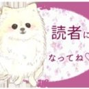 플레이트한