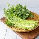 “맛 좋고 열량 낮은 귀한 나물”…고지혈증, 체중 관리에 좋은 반찬, 뭐길래? 이미지