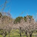 작가의산책길 이미지