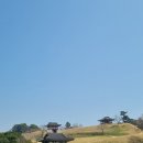 성의떡방앗간 | 뿌리를 찾아서 | 3편 (완도 타워, 완도 수목원, 신흥사, 장도 장보고 청해진 유적, 솔나무떡방앗간)