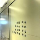 로이왁싱