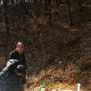 평택소사벌MTB 시륜제 이미지