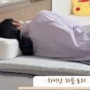 하이얀세탁 | 싱글토퍼 멀티로 사용하는 하이얀 하품 토퍼 매트리스 추천